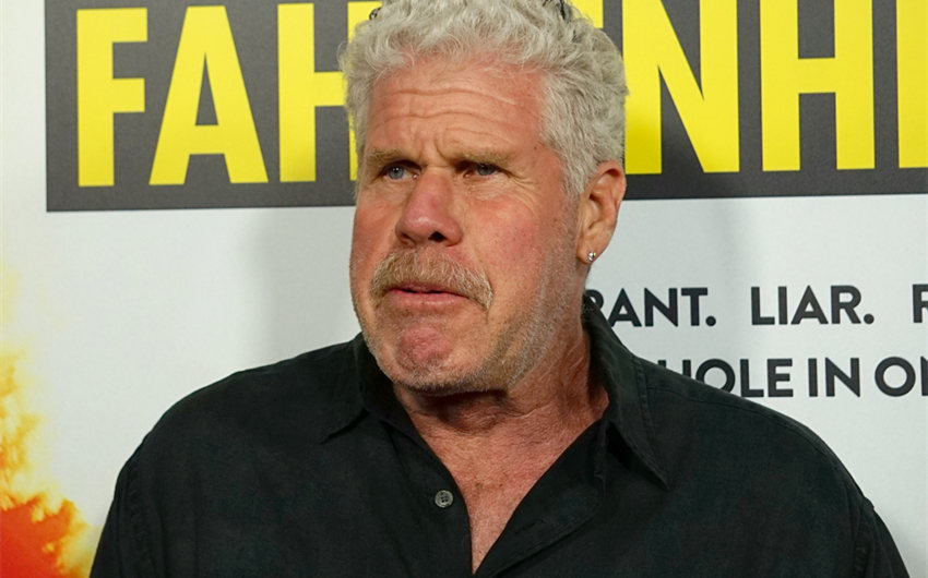 ron perlman net worth